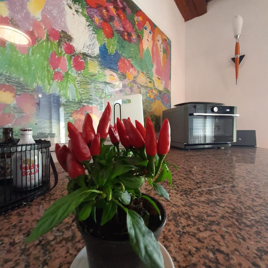 Loft Trabucco - In The Heart Of Salo City Center, Lake View, 4 Rooms Exterior foto